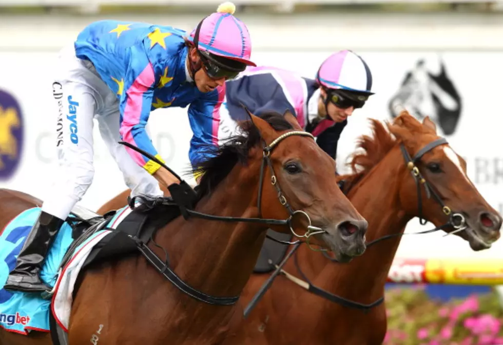 Big Day At Monmouth Park Sunday…It’s The Haskell Invitational!