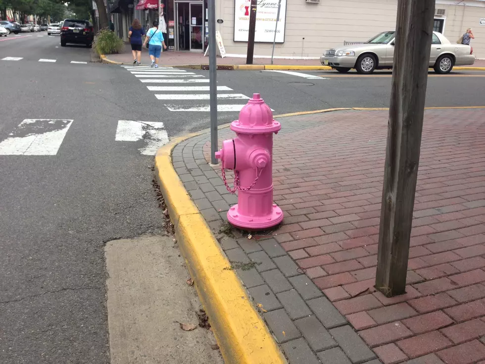 Point Pleasant Beach Making Strides Against Breast Cancer