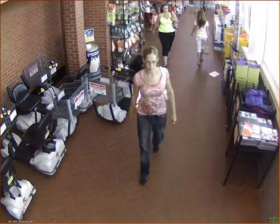Brick Purse Snatcher &#8211; Have You Seen this Woman? [VIDEO]