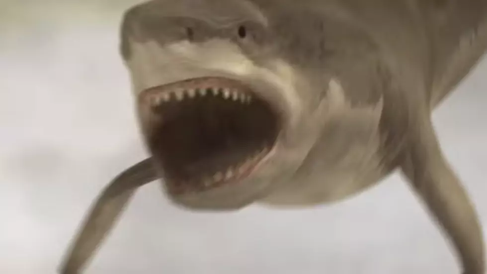 Official ‘Sharknado 2′ Trailer [VIDEO]
