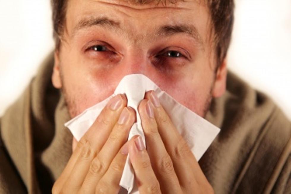 Jersey Shore Allergy Update - It's Not Good