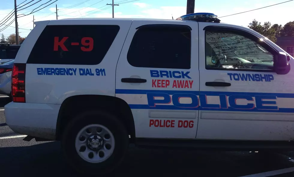 Great Demonstration From The Brick K9 Unit