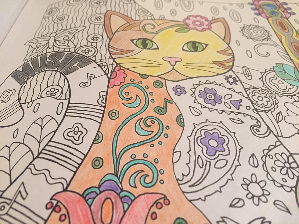 Coloring for Cats this Friday in Manasquan