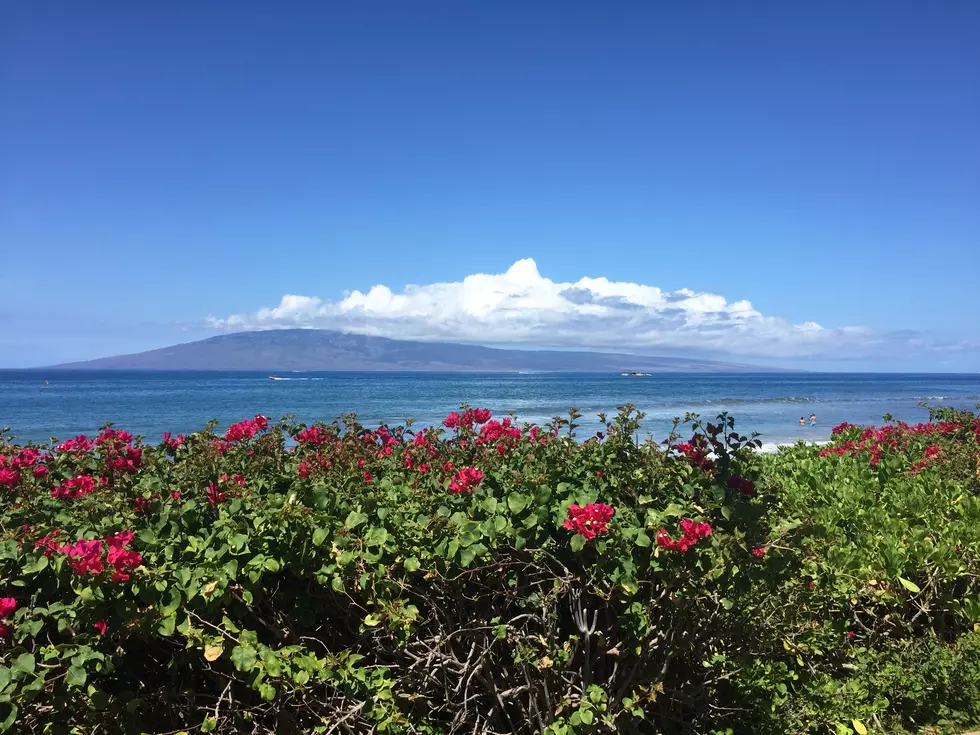 Laurie’s Hawaii Honeymoon: Maui