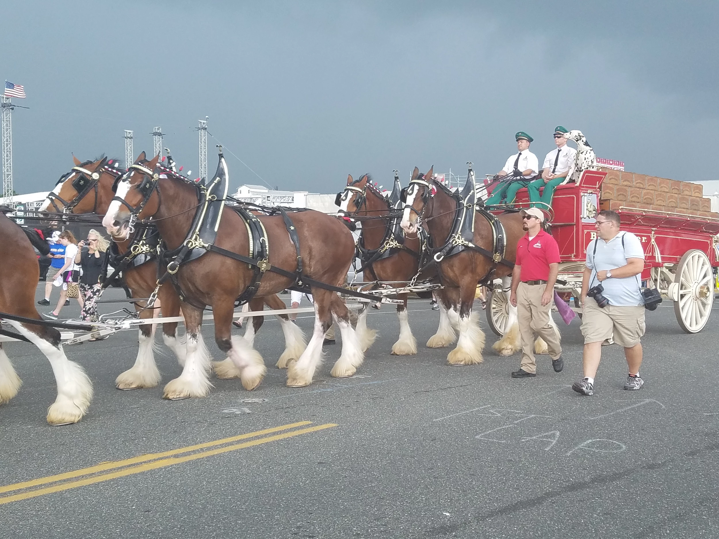 Budweiser Clydesdales Coming to Seaside Heights