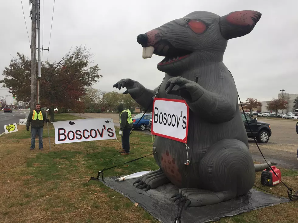 Why is there a Giant Rat in front of Ocean County Mall?