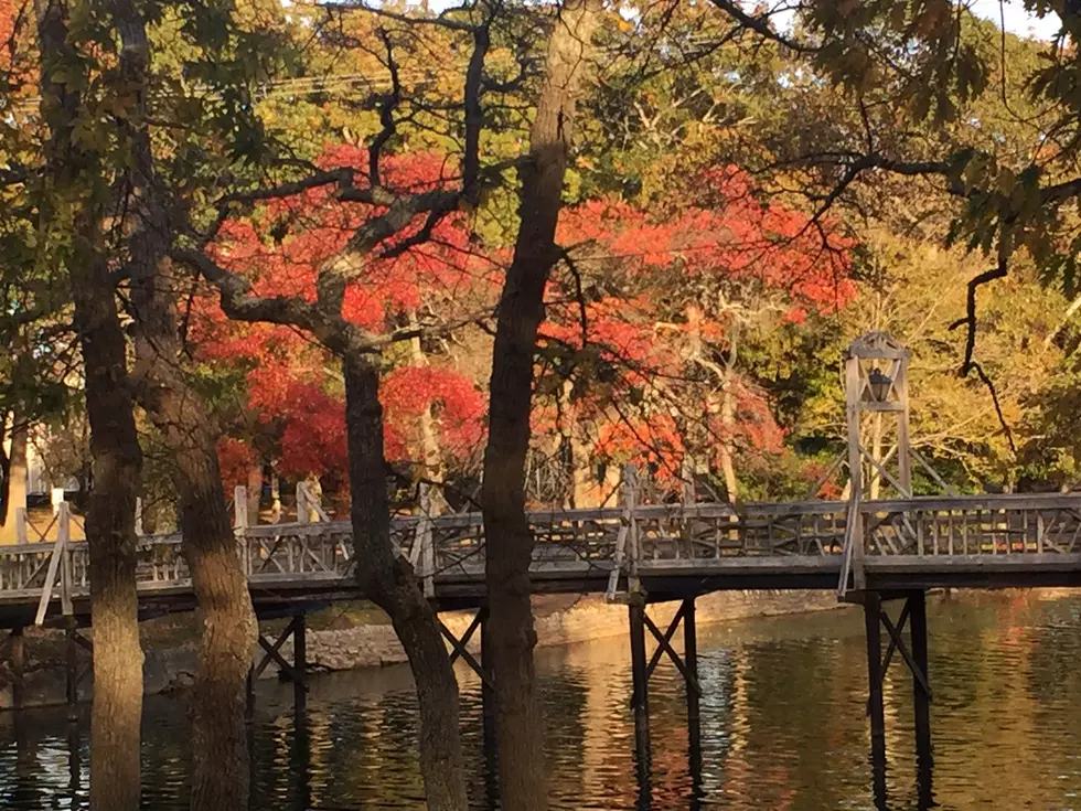Photos of Fall Foliage in Spring Lake