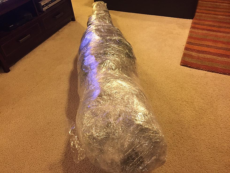 Christmas Tree Wrapped in Plastic — Does it Work?