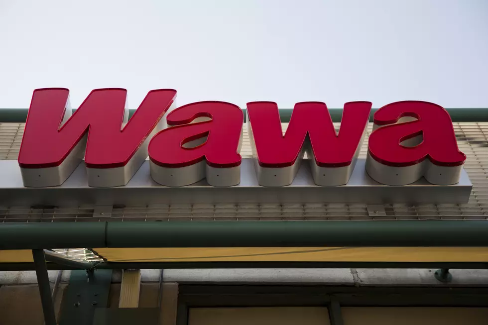 A Steamy Love Letter to Wawa From the Jersey Shore