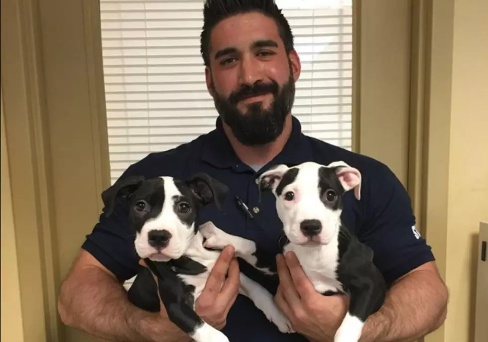 Hot Dog! Meet the Monmouth County SPCAs Most Eligible Foster Dad