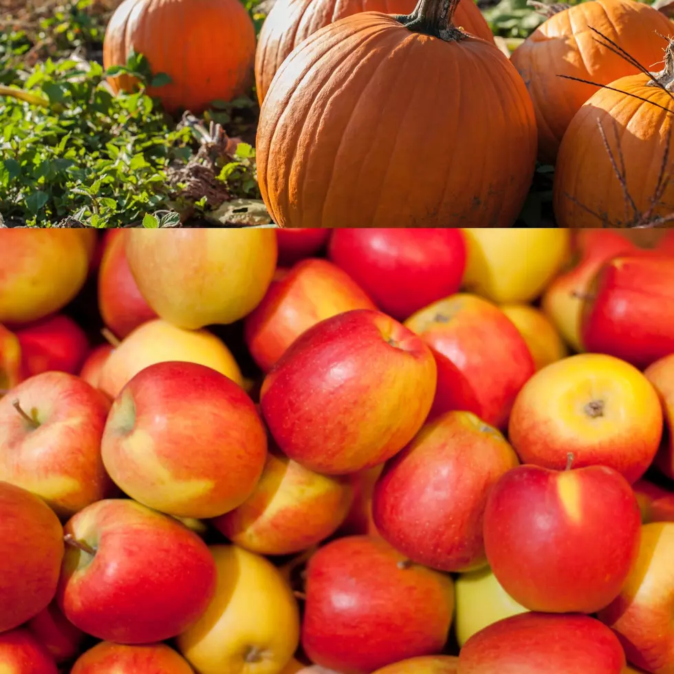 Apple & Pumpkin Picking Guide