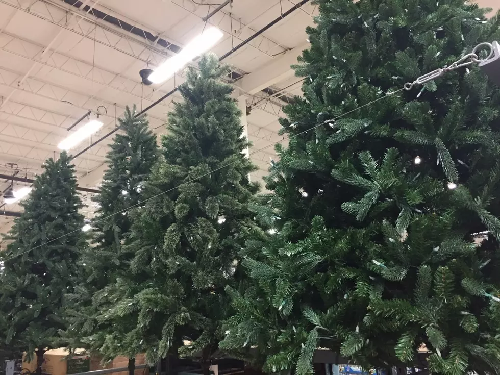 Is it Time to Buy Your Christmas Tree?