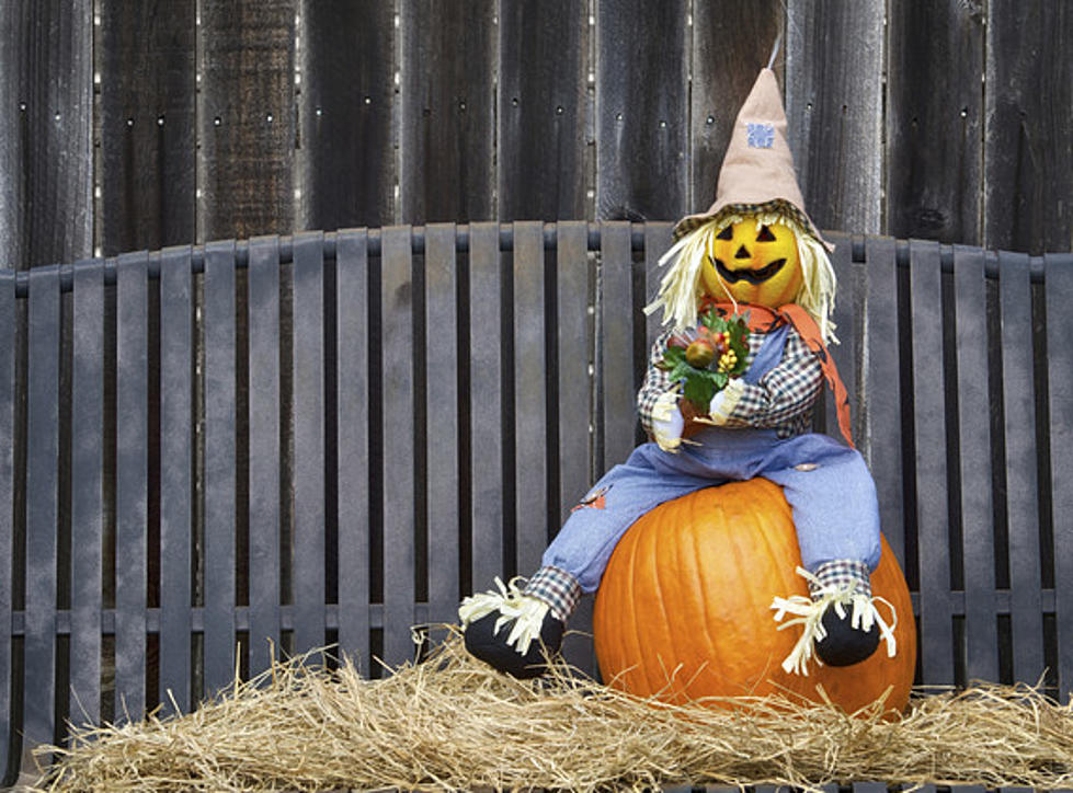 Toms River Scarecrow Walk Is Back And Needs Your Votes