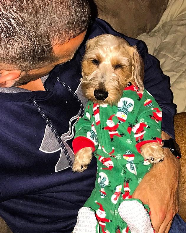Point Listeners Dress Their Pets for the Holidays