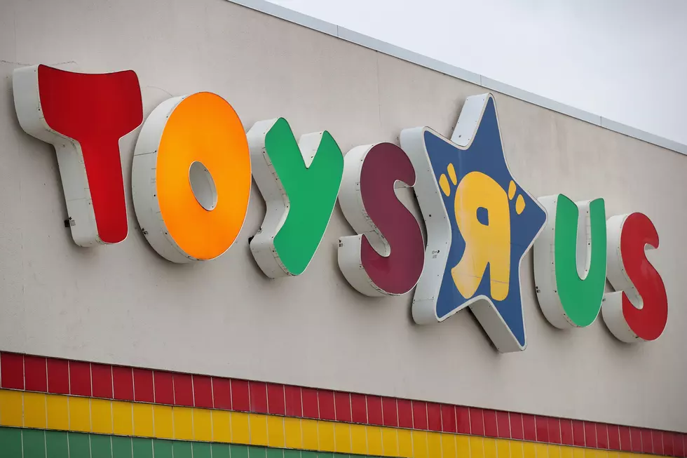 Toys 'R' Us Returns, Opens First Location In Paramus At Westfield Garden  State Plaza