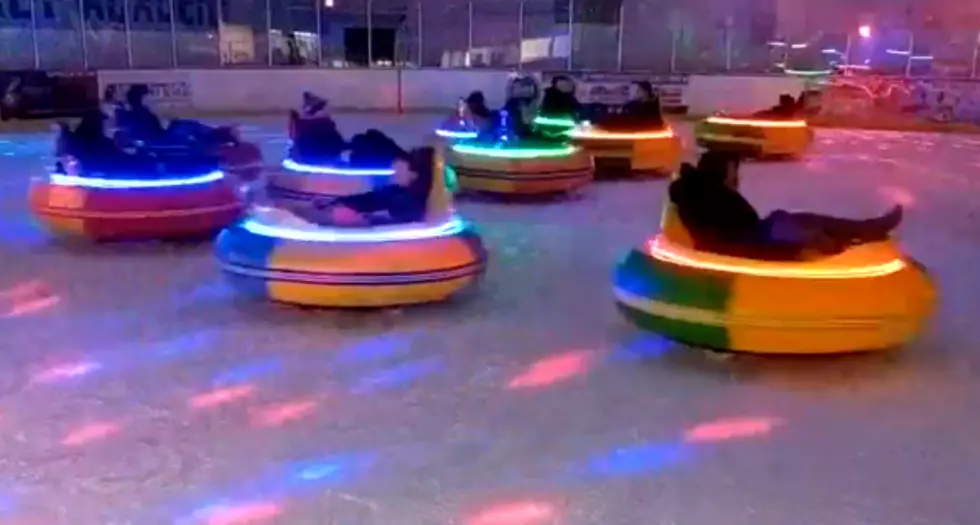 Have You Tried Bumper Cars on Ice at Ocean Palace in Brick?