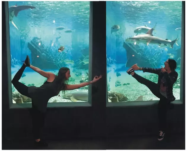 Yoga Under the Sea in Point Beach!