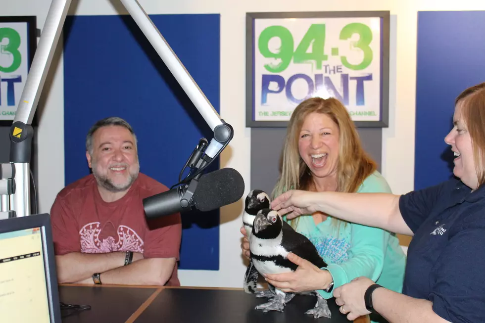 WATCH: Jenkinson&#8217;s Penguins Co-Host with Lou &#038; Liz!