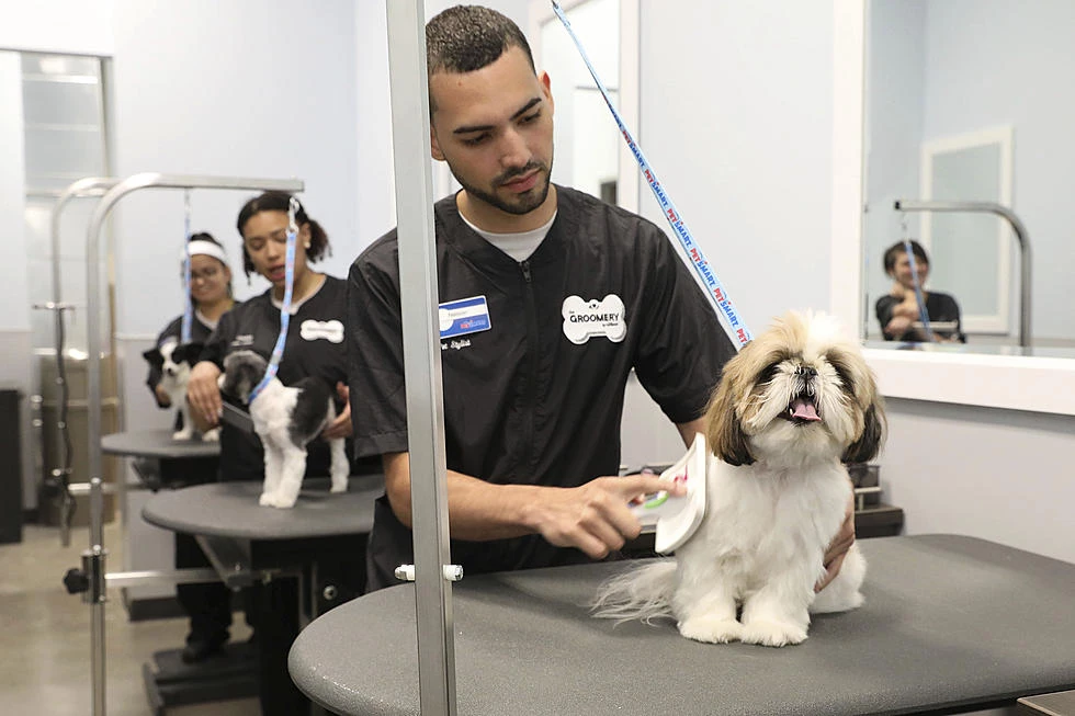 petsmart dog grooming
