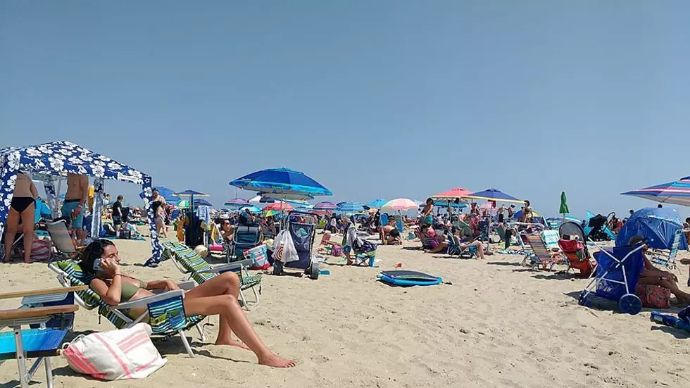 2019 Summer Weather Forecast for the Jersey Shore