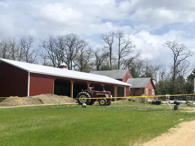 Children&#8217;s Mental Health Awareness Day at Allaire Community Farm