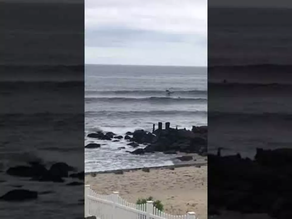 WHOA: NJ surfer Shares a wave with dolphins