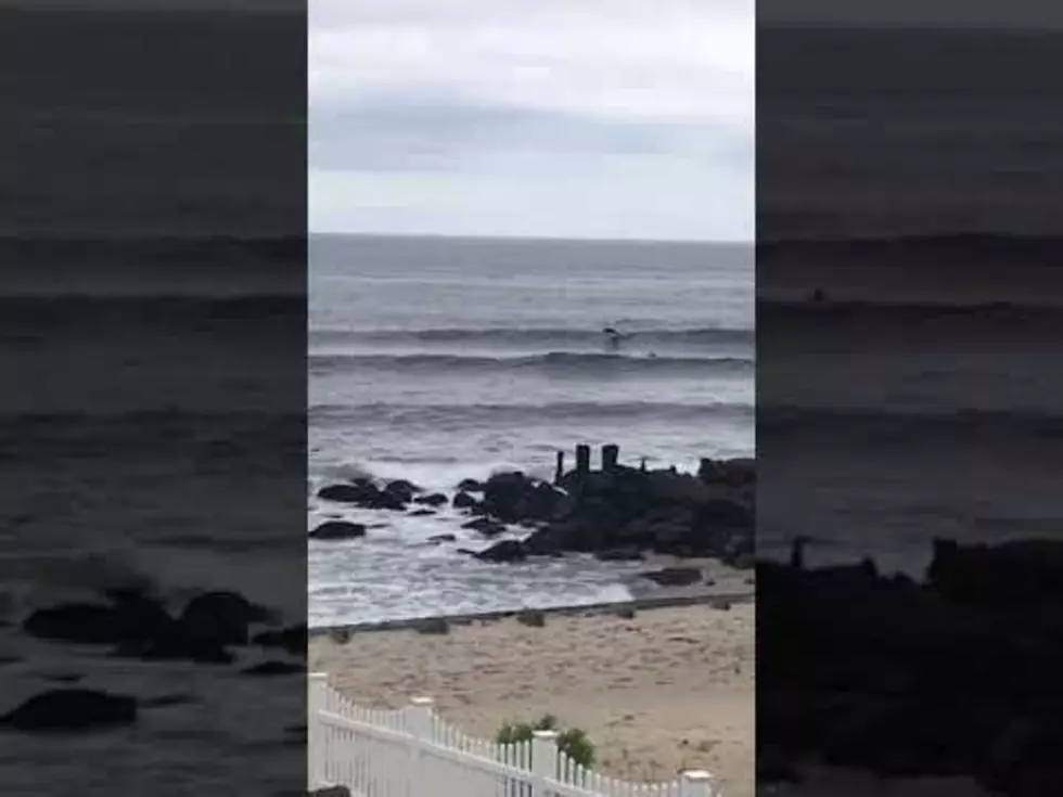 Jersey Shore Surfer Shares a Wave with Dolphin Pod