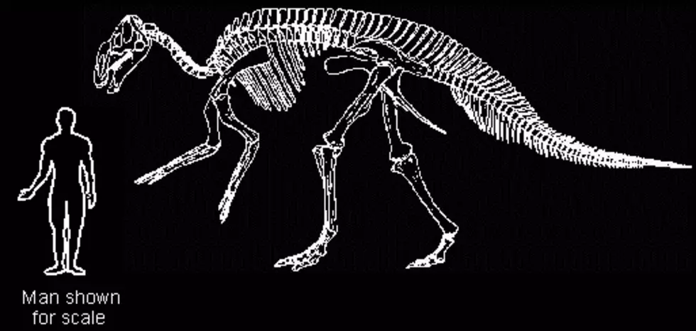Hadrosaurus (NJDEP)