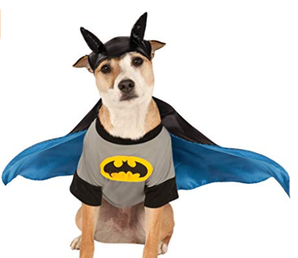 6 Adorable Dog Costumes That Will COMPLETE Your Halloween