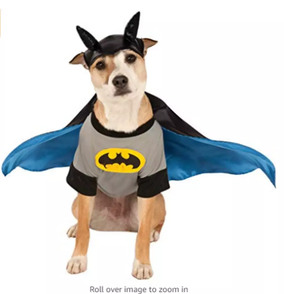 6 Adorable Dog Costumes That Will COMPLETE Your Halloween