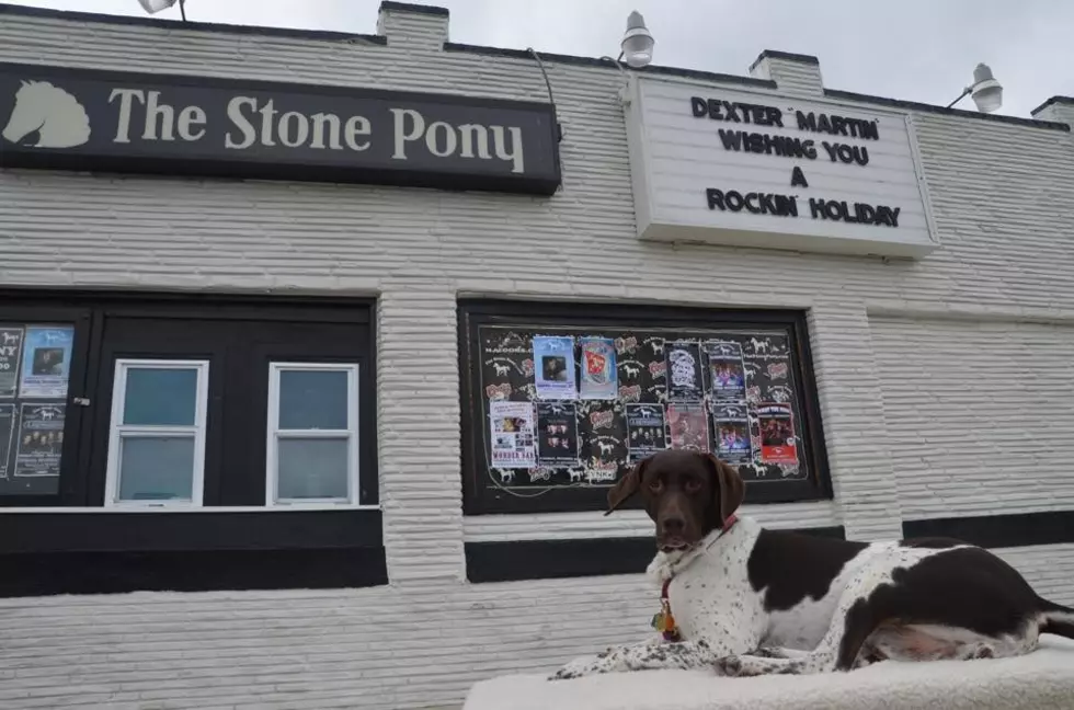 Get Your Holiday Card Photo Taken at the Stone Pony