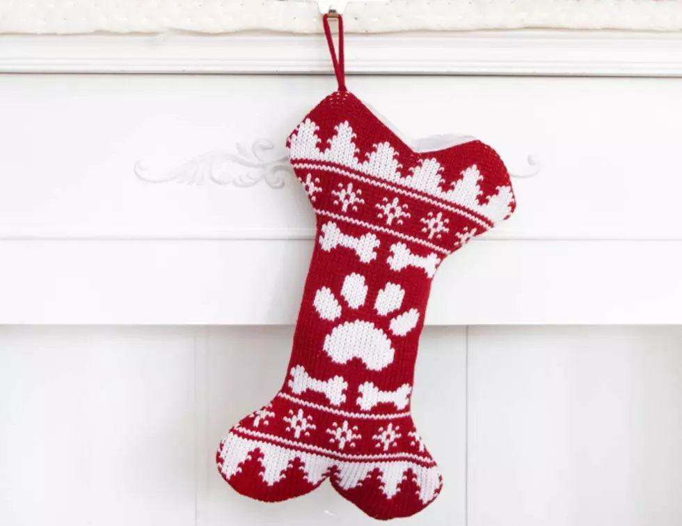 5 Adorable Christmas Pet Stockings