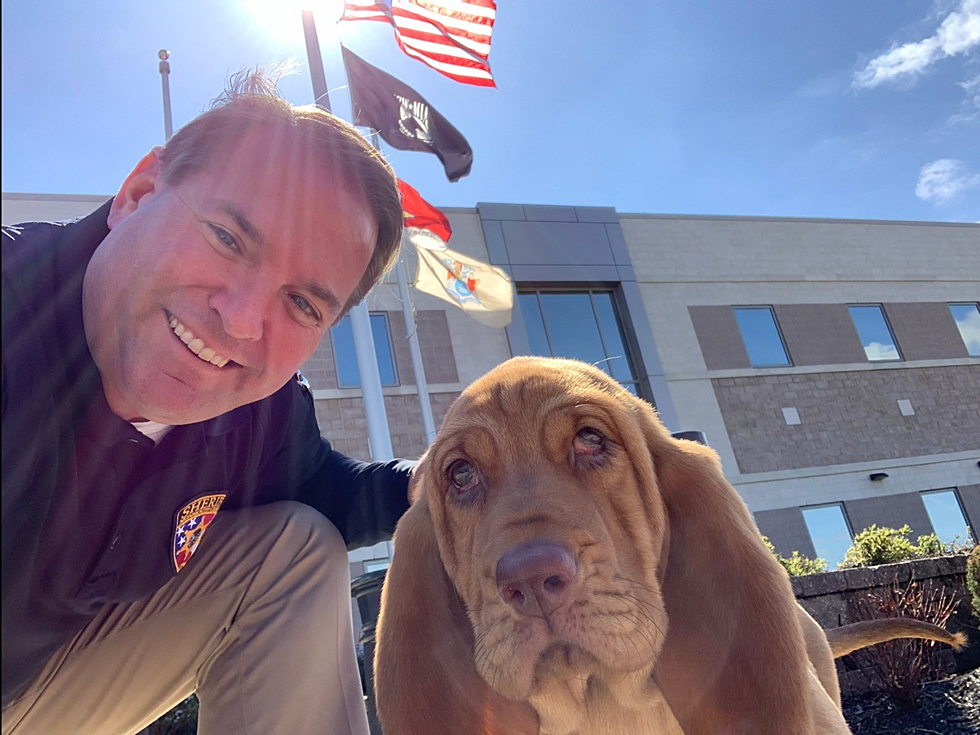 Monmouth County Sheriff Office&#8217;s Newest K9 Pup