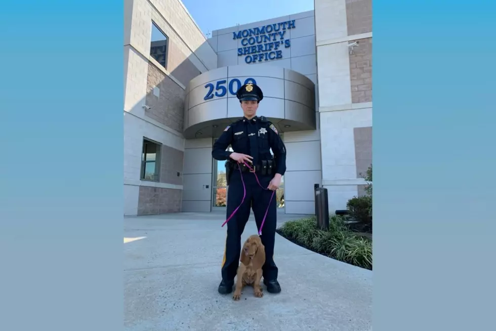 (Monmouth County Sheriff's Officer Imbriacco and Maggie, photo from Sheriff Shaun Golden.