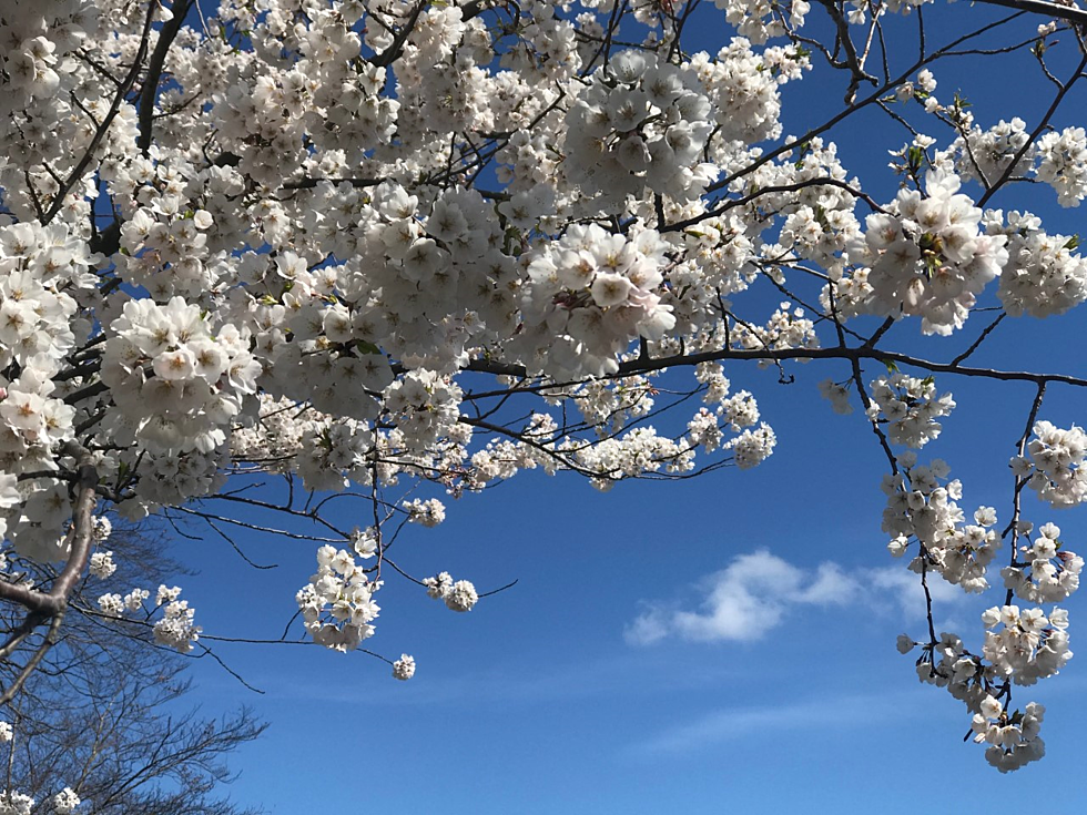 Photos: Jersey Shore Springtime Beauty