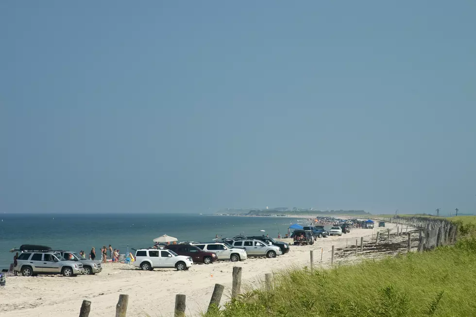 Tips for Visitors of the Jersey Shore (a BENNY)