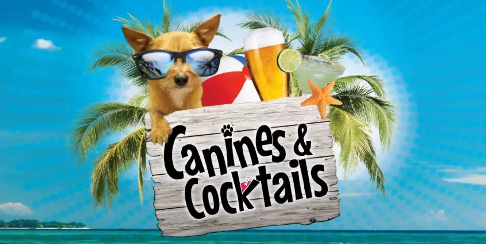 Jenkinson’s Canines & Cocktails Happy Hour Has Returned!