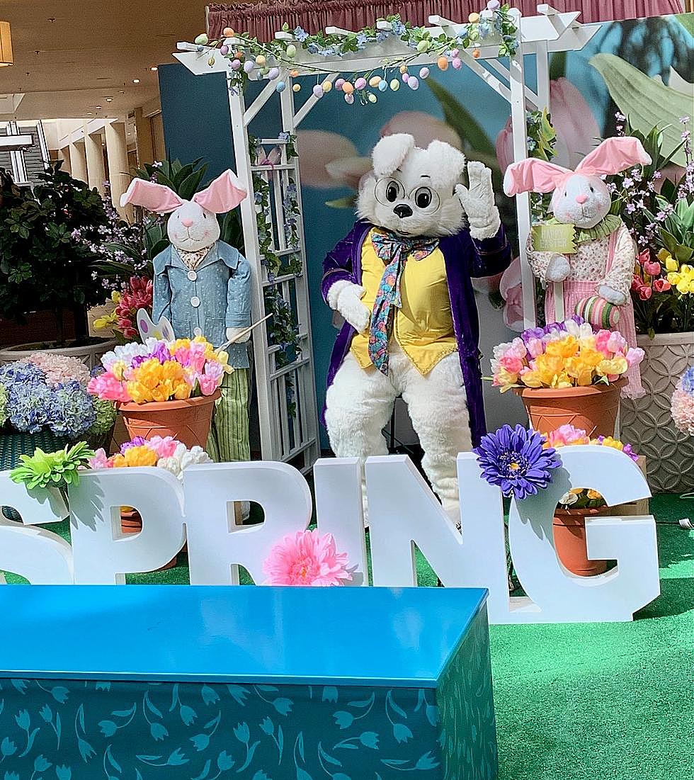 Easter Bunny Sighting! Your Ultimate Jersey Shore Mall Easter Bunny Guide
