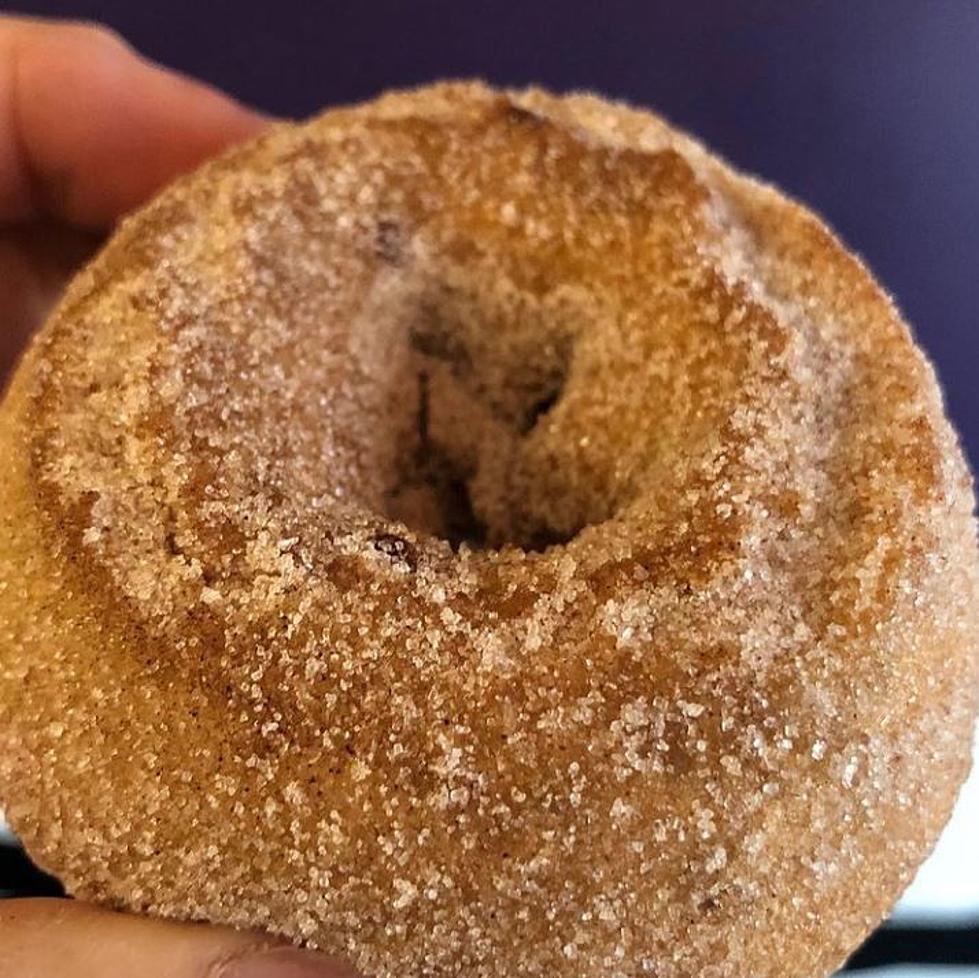 Where To Get The Best & Freshest Apple Cider Donuts At The Jersey Shore, NJ
