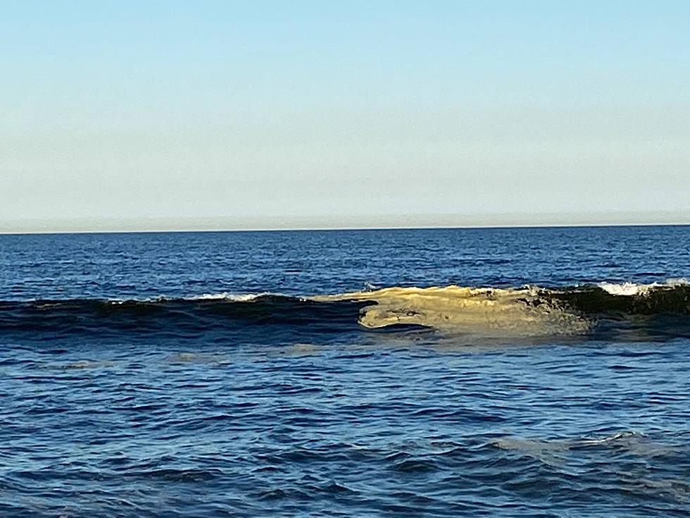 Ew! What Is This Gross Yellow Gunk Spotted In Our Jersey Shore, NJ Ocean?