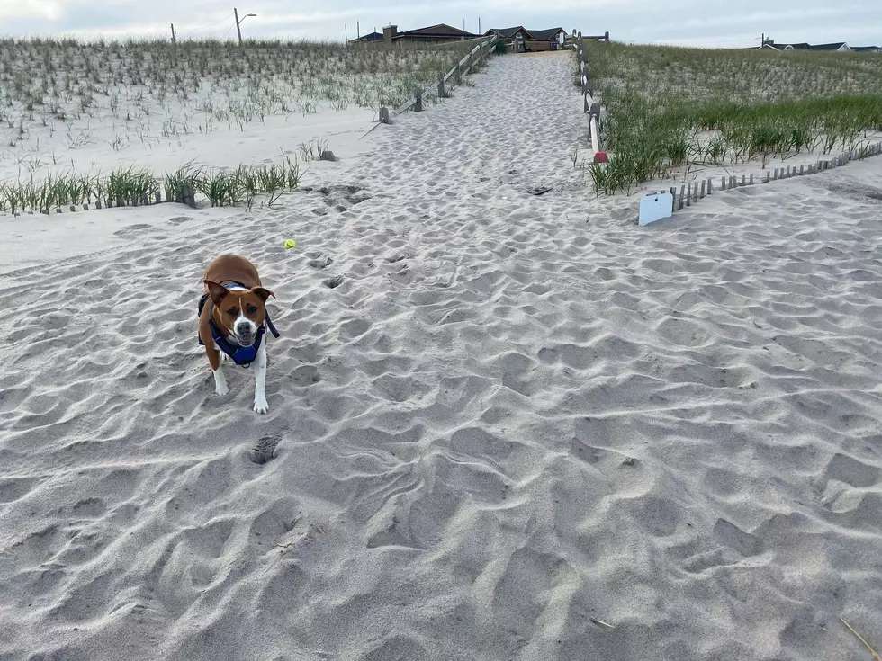 BEFORE & AFTER PHOTOS: Jersey Shore, NJ Beaches Are Looking Summer Ready