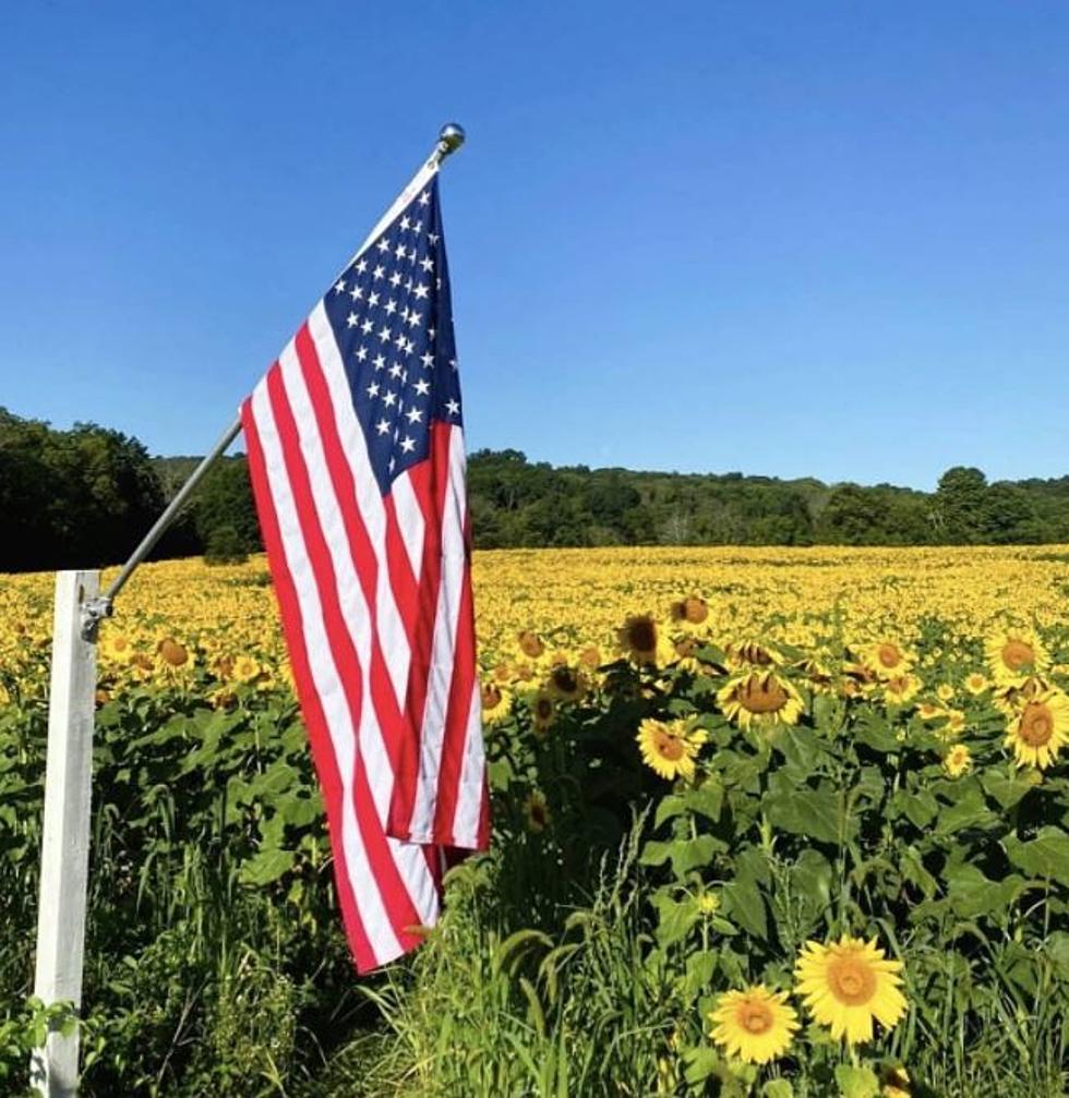 Have You Even Heard of these 30 Tiniest Towns in New Jersey?