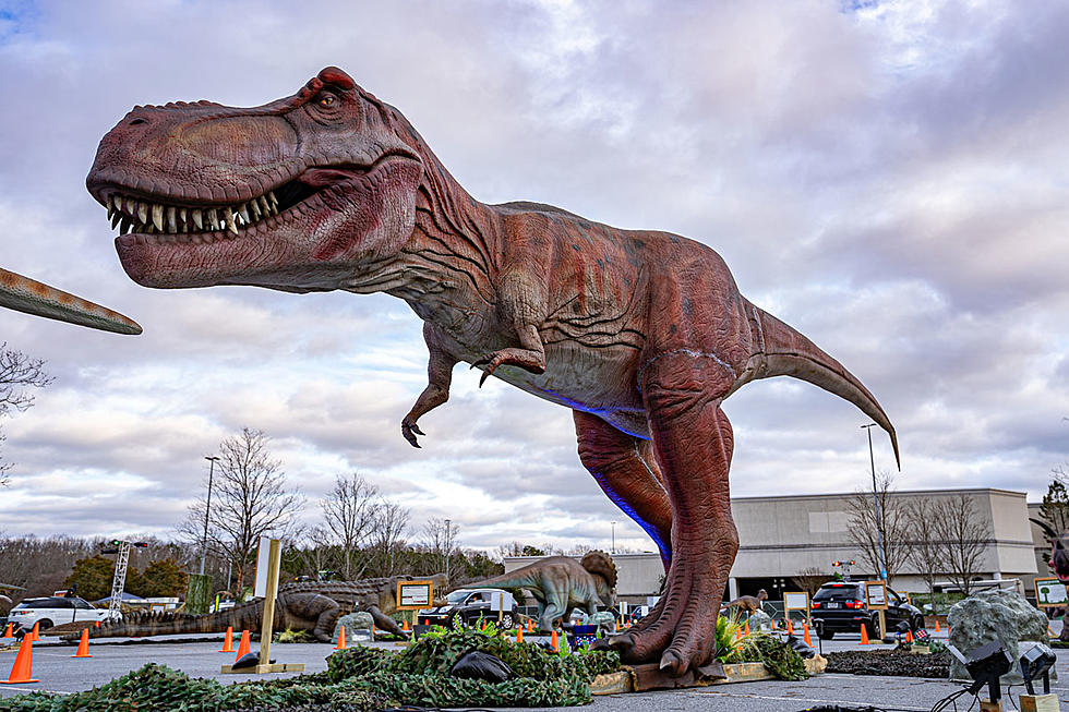 Life-sized dinosaur drive-thru at Freehold Raceway Mall