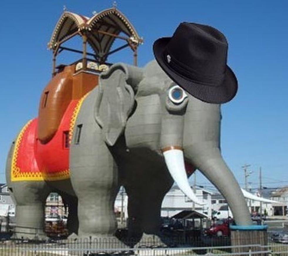 https://townsquare.media/site/393/files/2021/08/attachment-lucy-the-elephant.JPG?w=980&q=75