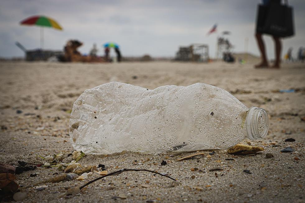 ATTENTION JERSEY SHORE, NJ: It Is Never Just One Wrapper, Food Container or Piece of Garbage