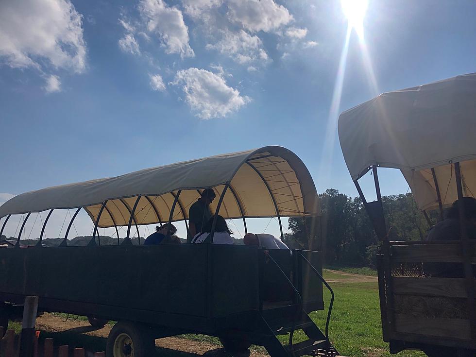 Fun Halloween Day At A Casola Farm In Holmdel, New Jersey