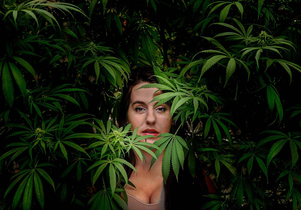 If You Smoke Pot You’re More Likely To Get Breakthrough COVID In New Jersey