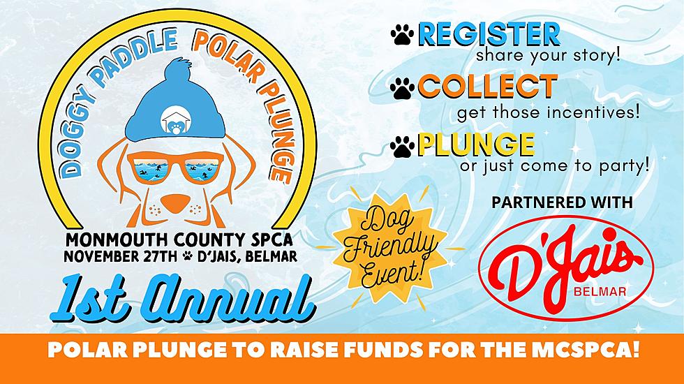 Belmar Polar Plunge Will Help Save Thousands Of Homeless Animals In New Jersey