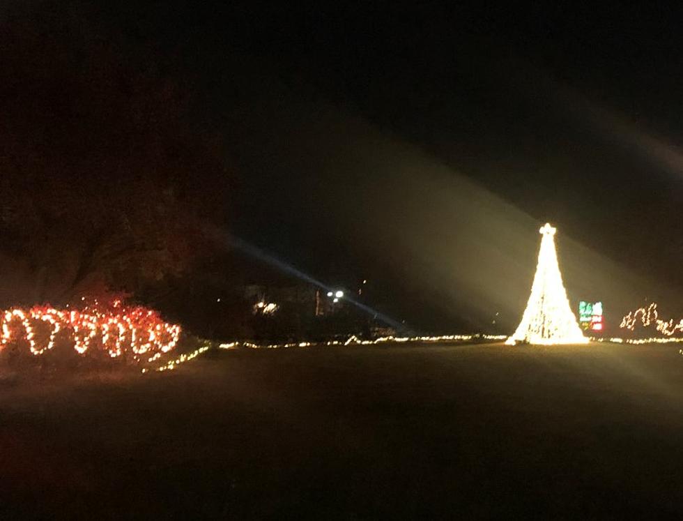 Holiday Cheer In The Midst Of Brick Traffic 