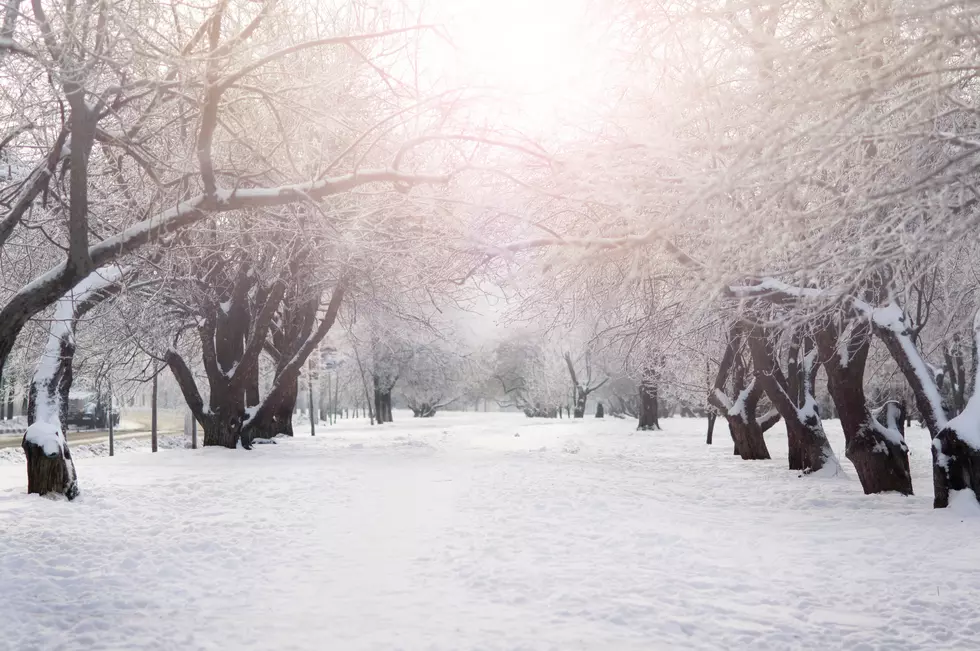 Photo by Andrey Bond on Unsplash